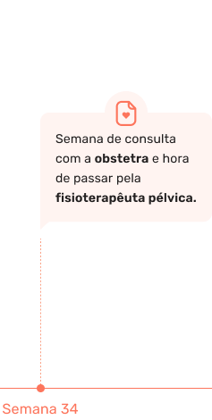 Semana de consulta com a obstetra e hora de passar pela fisioterapêuta pélvica. 