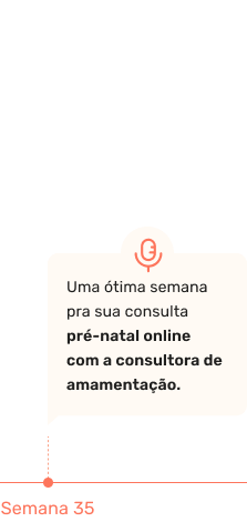 Uma ótima semana pra sua consulta pré-natal online com a consultora de amamentação.