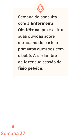 Semana de consulta com a Enfermeira Obstétrica, pra ela tirar suas dúvidas sobre o trabalho de parto e primeiros cuidados com o bebê. Ah, e lembre de fazer sua sessão de fisio pélvica.